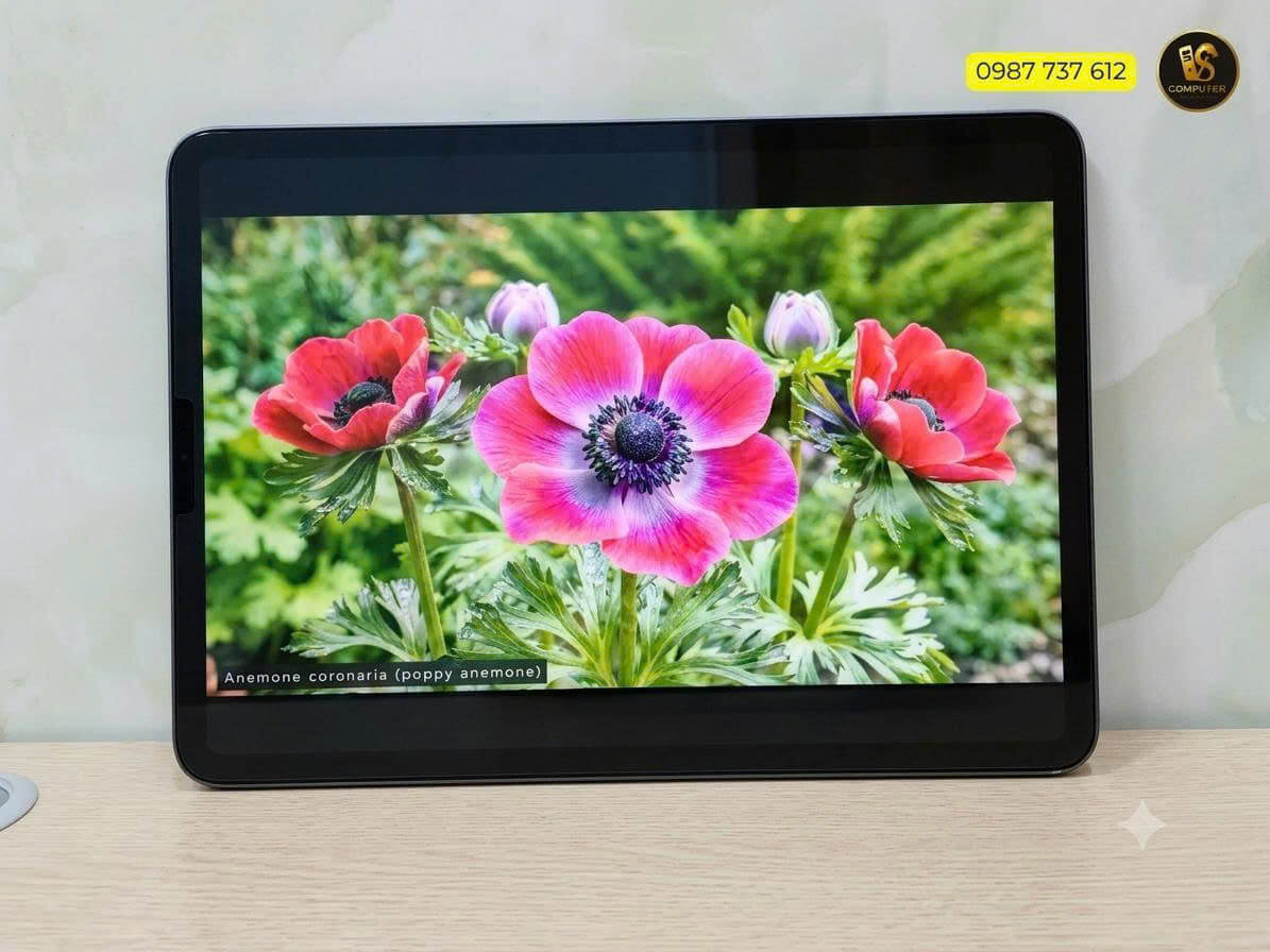 ipad-pro-11-inch-2018-256gb-vi-tinh-thu-duc-van-sy (1)